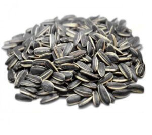 Sunflower Seed
